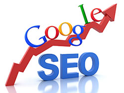 Google vs SEOer