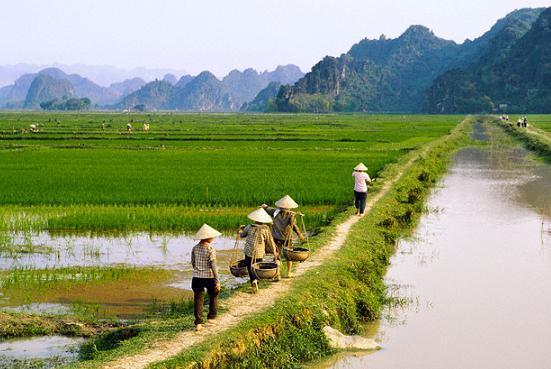 Cần phải có tư duy tỷ đô để phát triển nông nghiệp